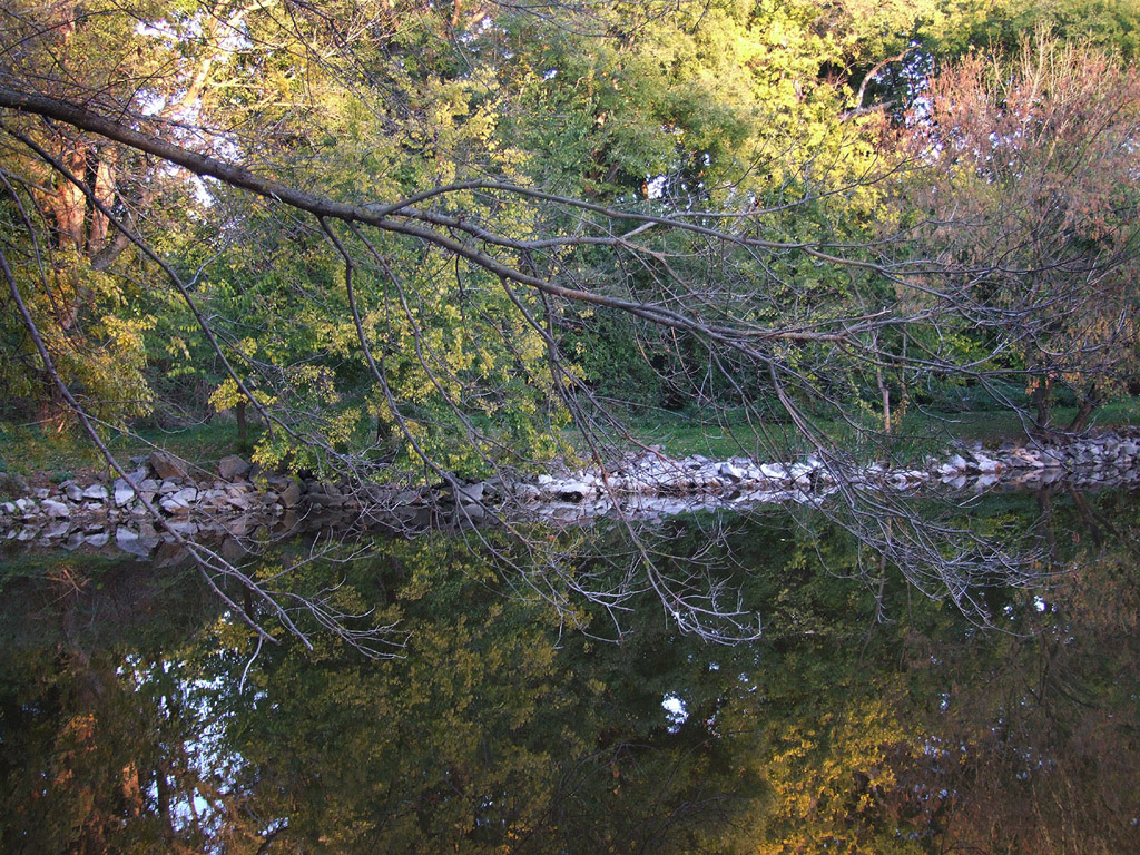 Herbst - Bäume am Ufer, Reflexion im Wasser - Kostenloses Hintergrundbild