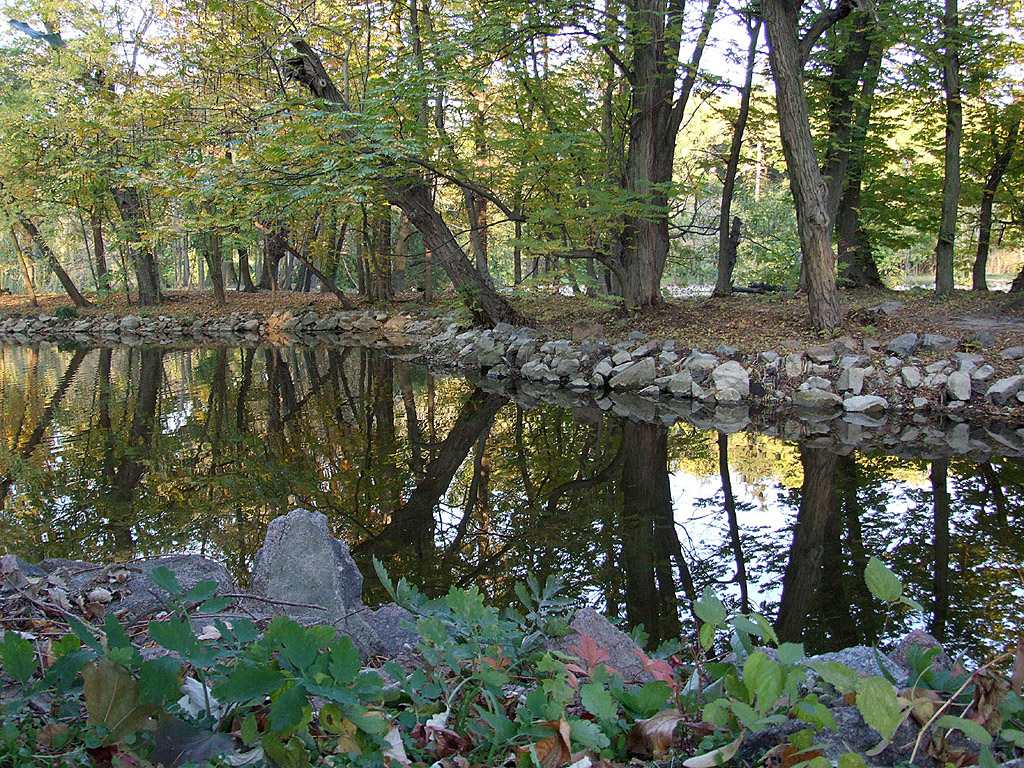 Herbst - Herbstlaune - Bäume am Ufer - Kostenloses Hintergrundbild