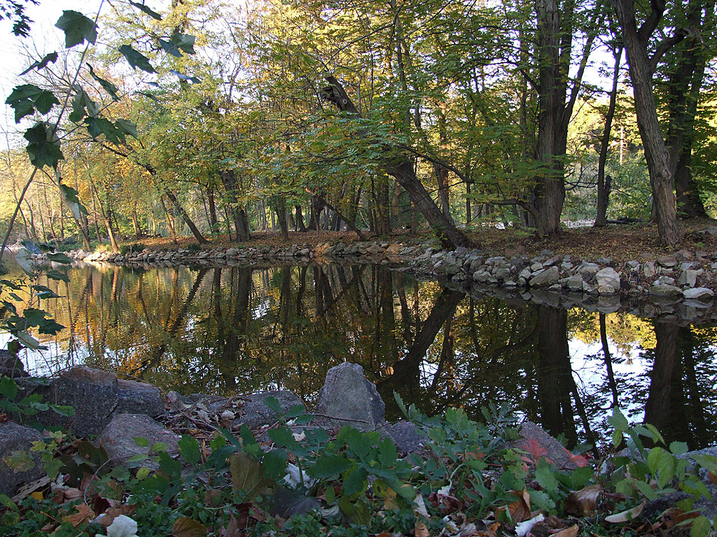 Herbst - Herbstlaune - Bäume am Ufer - Kostenloses Hintergrundbild