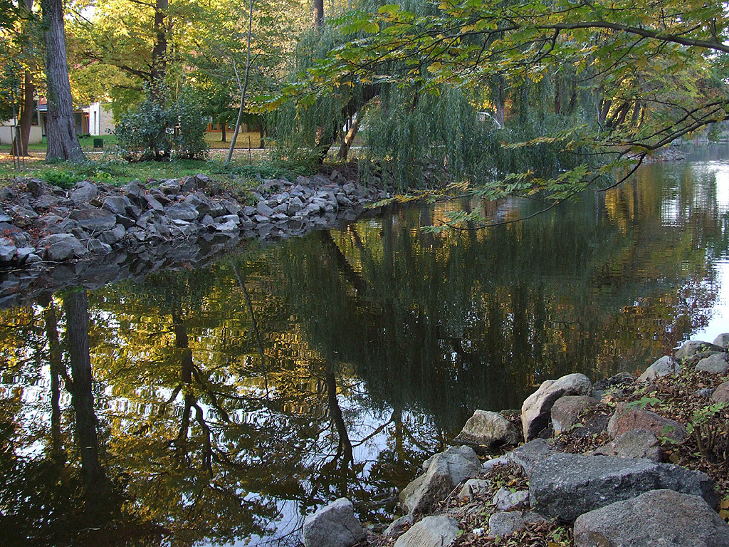Herbst - Herbstbäume am Ufer - Kostenloses Hintergrundbild