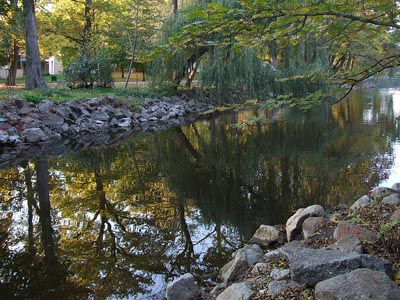 Herbst 035 - Herbstbäume am Ufer - Reflexion im Wasser