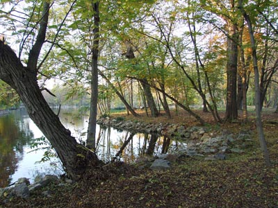 Herbst 036 - Herbstlaune, Bäume, Reflexion im Wasser