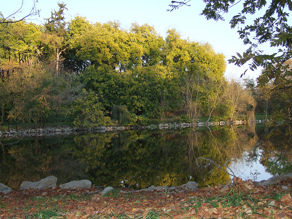 Herbst - Herbstlaune, Reflexion - Kostenloses Hintergrundbild
