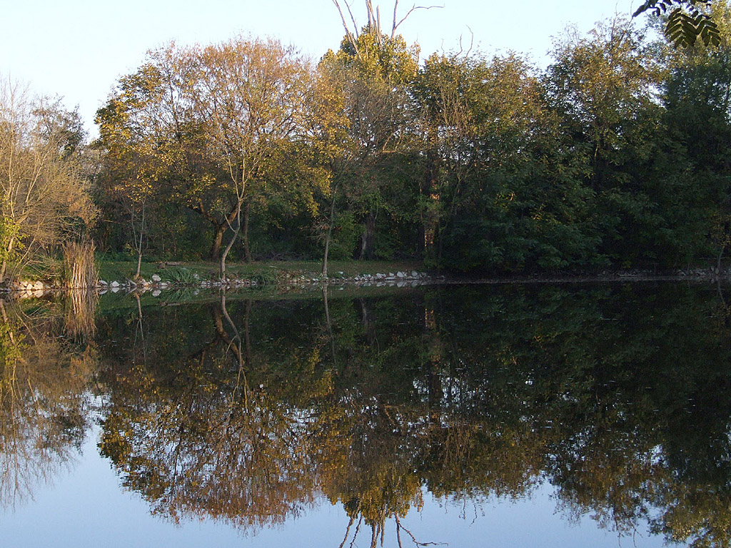 Herbst - Kostenloses Hintergrundbild