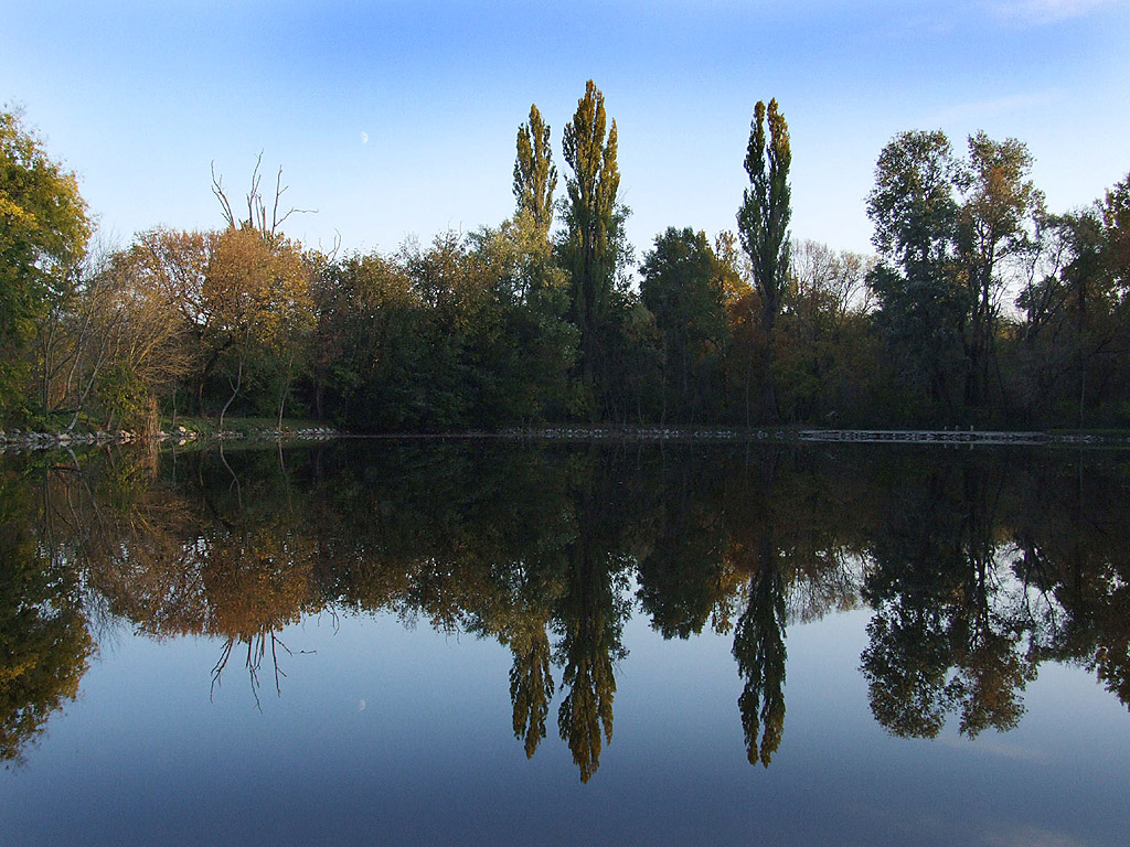 Herbst - Kostenloses Hintergrundbild