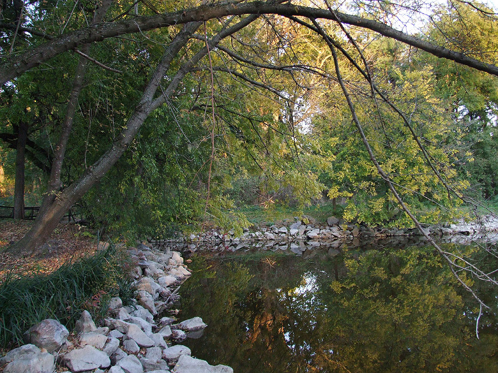 Herbst - Kostenloses Hintergrundbild