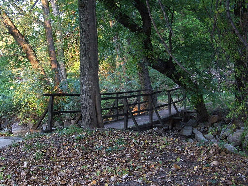 Herbst - Kostenloses Hintergrundbild