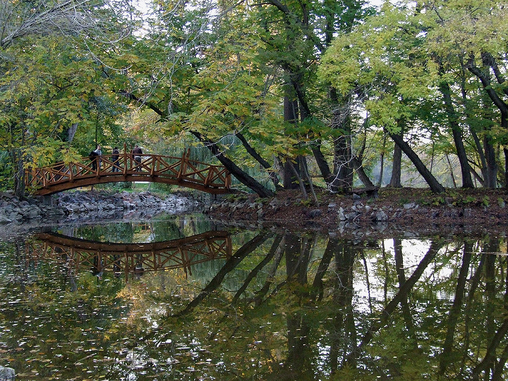 Herbst - Kostenloses Hintergrundbild