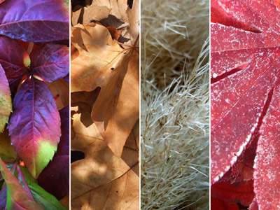 Herbst 2025
