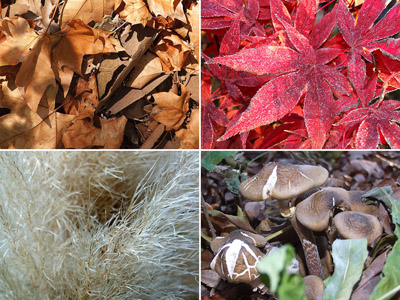 Herbst 2025