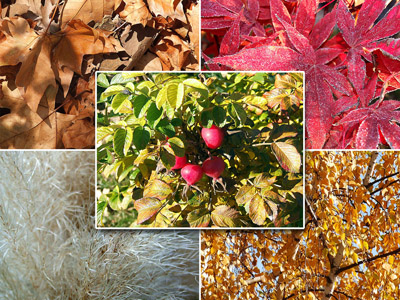 Herbst 2025