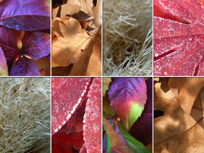Herbst 2025
