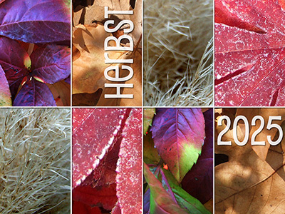Herbst 2025