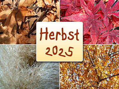 Herbst 2025