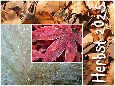 Herbst 2025