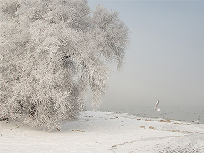 Raureif / Chiemsee