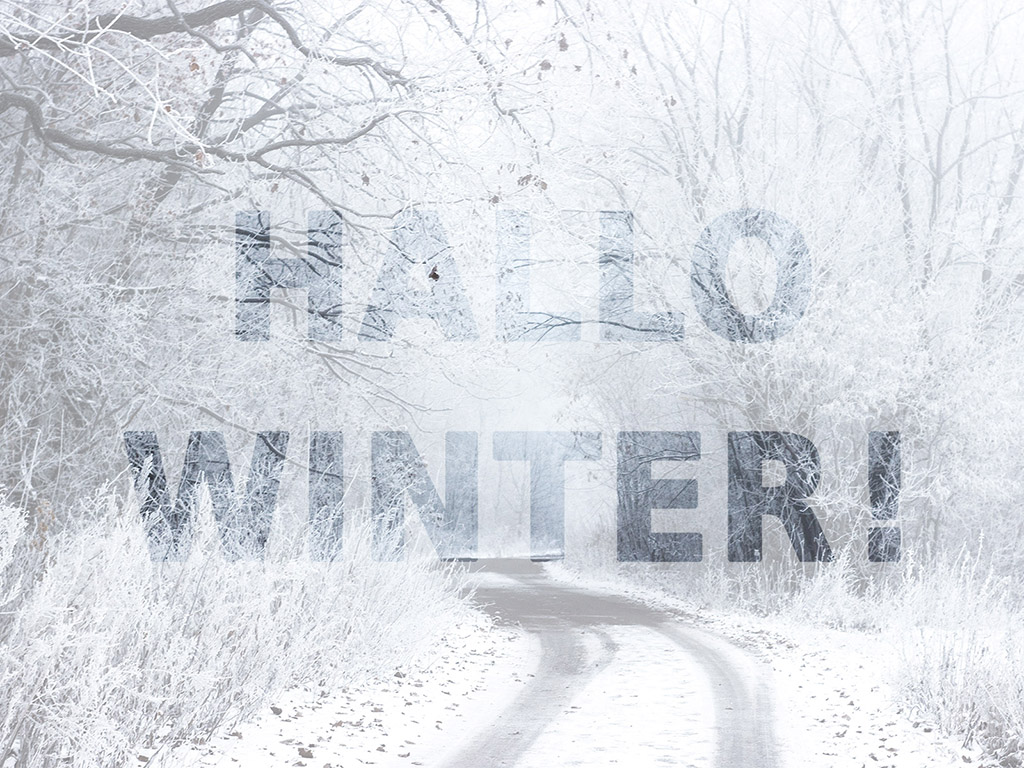 Hallo Winter! - Winter