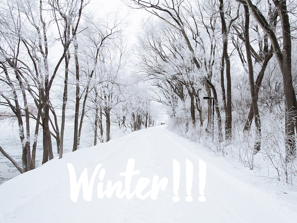 Hallo Winter! - Winter