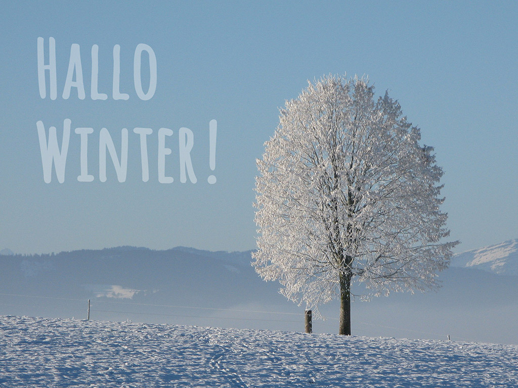 Hallo Winter! - Winter