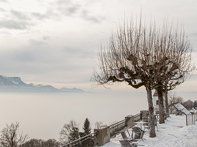 Nebel / Genfersee