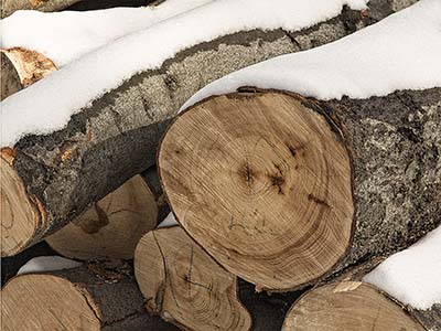 Schneebedeckter Holzhaufen - Winter