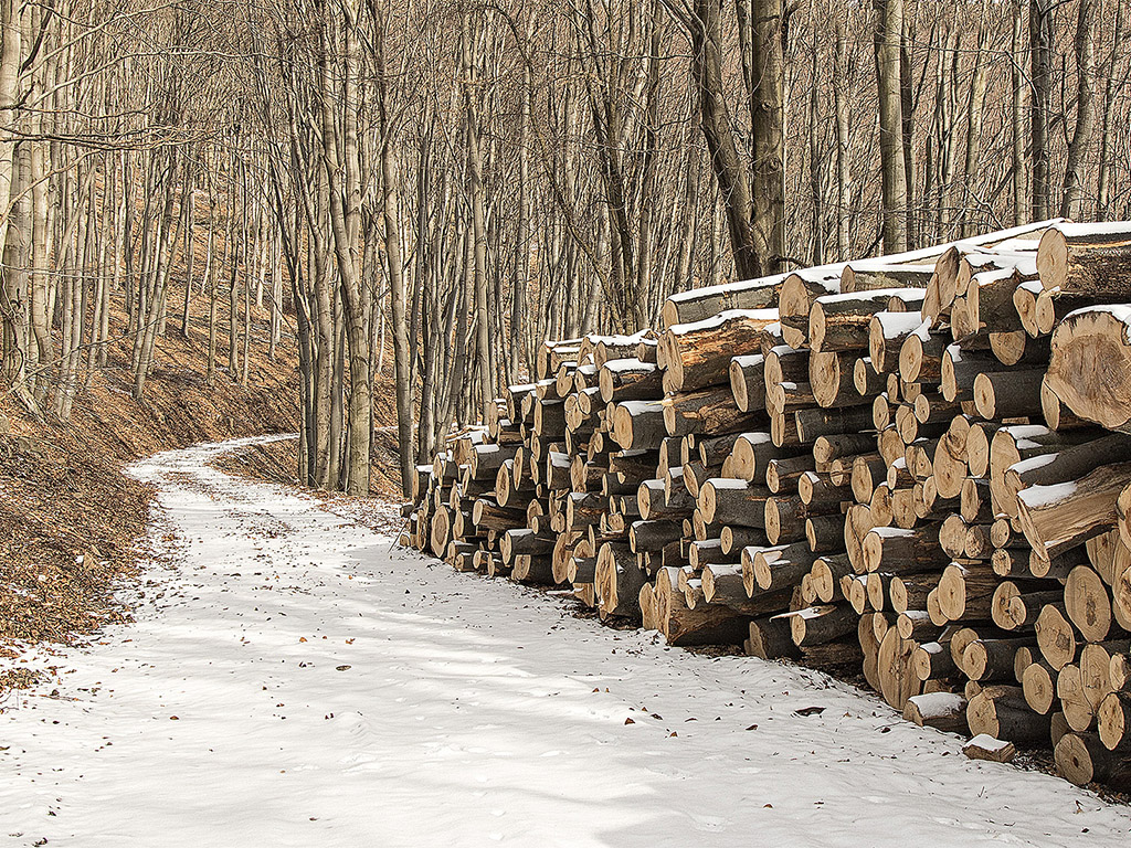 Schneebedeckter Holzhaufen - Winter