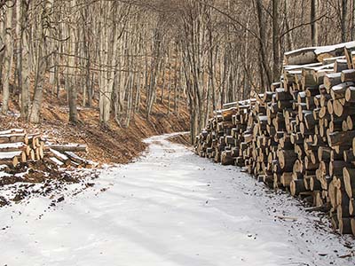 Schneebedeckter Holzhaufen