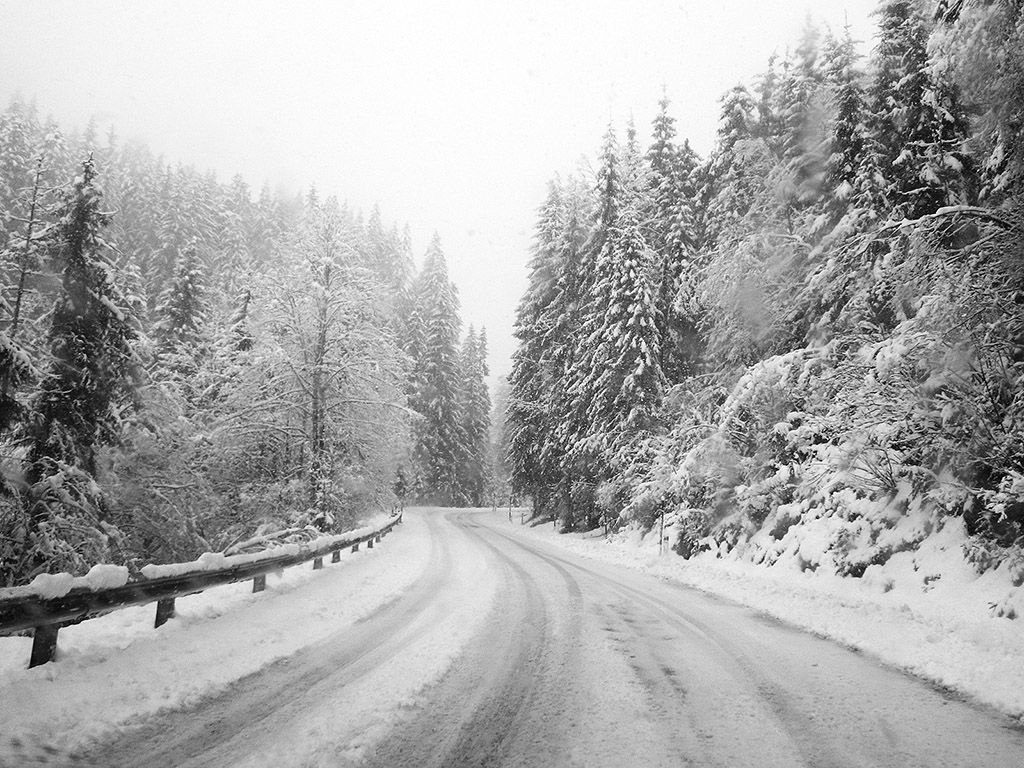 Unterwegs bei Schneefall - Winter