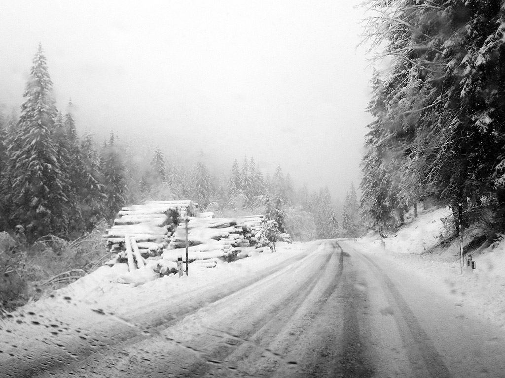 Unterwegs bei Schneefall - Winter