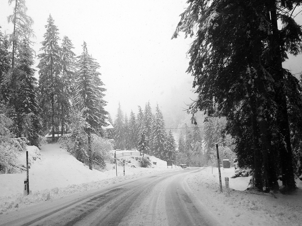 Unterwegs bei Schneefall - Winter