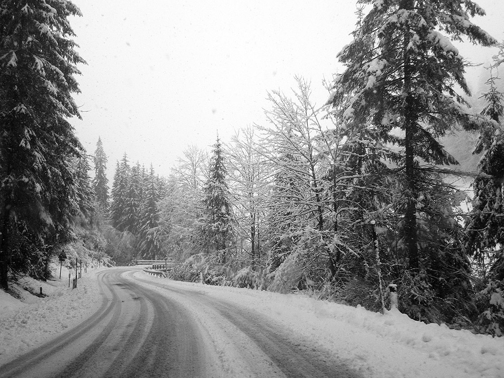 Unterwegs bei Schneefall - Winter