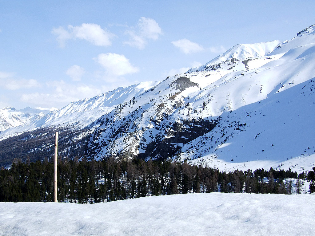 Winter - Kostenloses Hintergrundbild