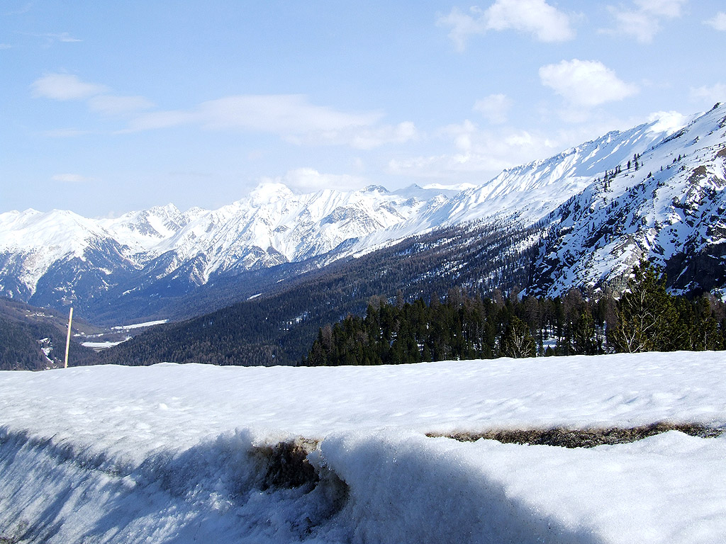 Winter - Kostenloses Hintergrundbild