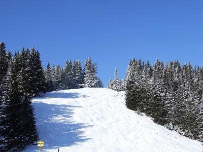 Winter in den Alpen