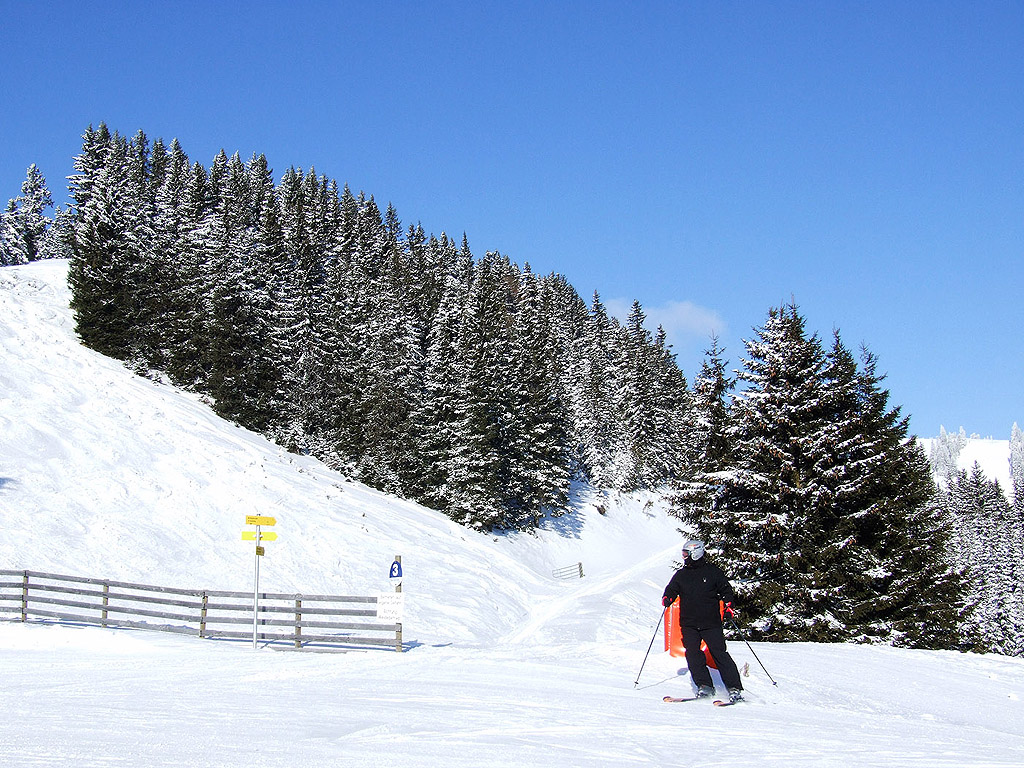 Winter - Kostenloses Hintergrundbild