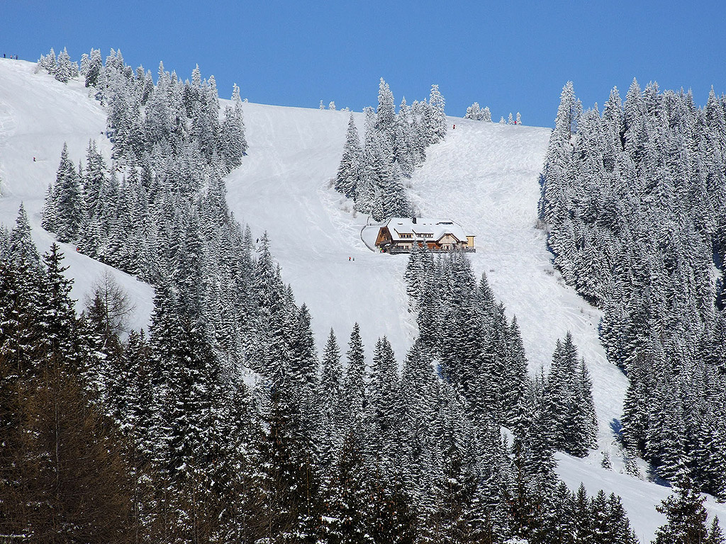 Winter - Kostenloses Hintergrundbild