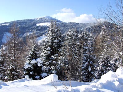 Winter in den Alpen