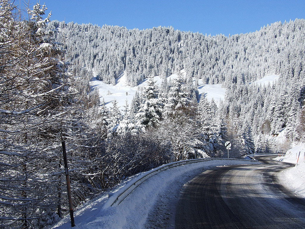 Winter - Kostenloses Hintergrundbild