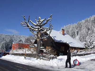 Winter in den Alpen