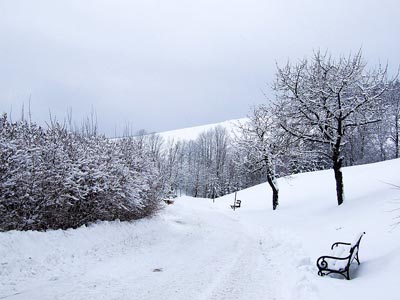 Winter in den Alpen