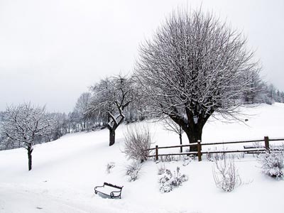 Winter in den Alpen