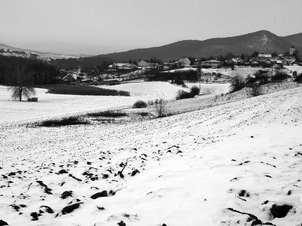 Winterlandschaft in Ungarn, Winter, Schnee - kostenloses Hintergrundbild