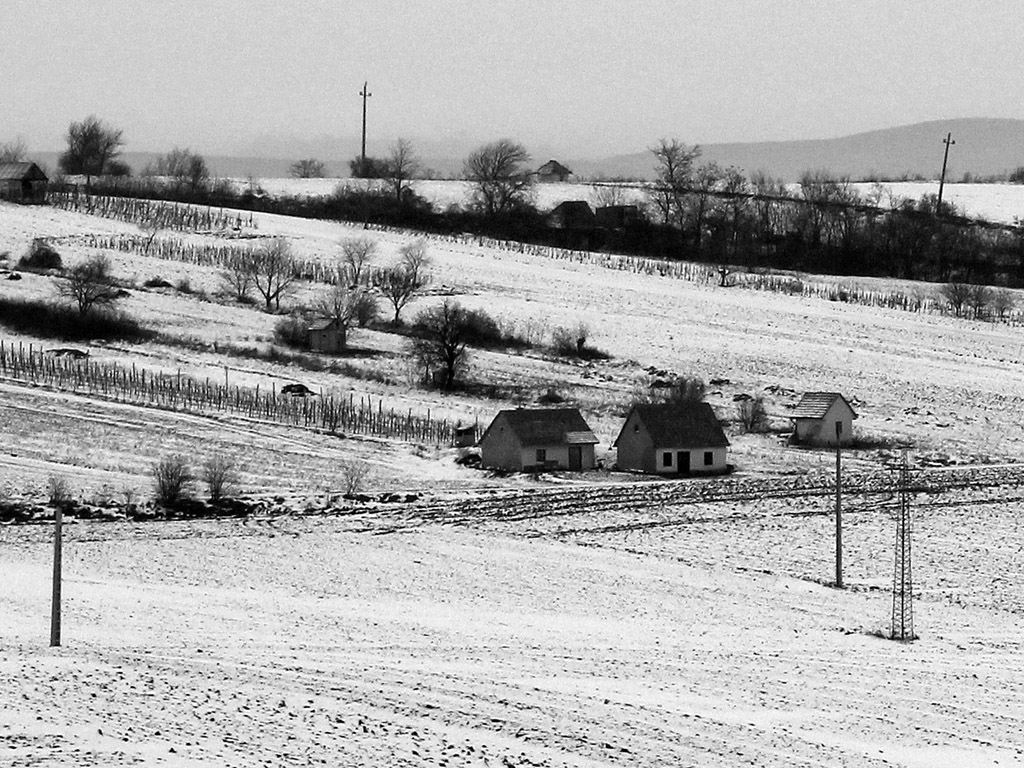 Winterlandschaft in Ungarn, Winter, Schnee - kostenloses Hintergrundbild