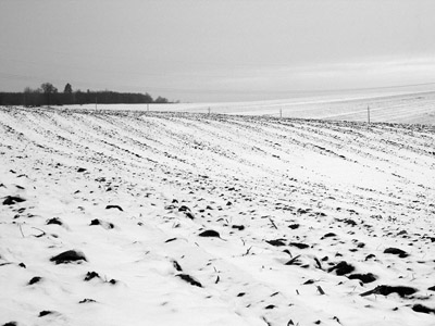 Winterlandschaft in Schwarz und Weiss