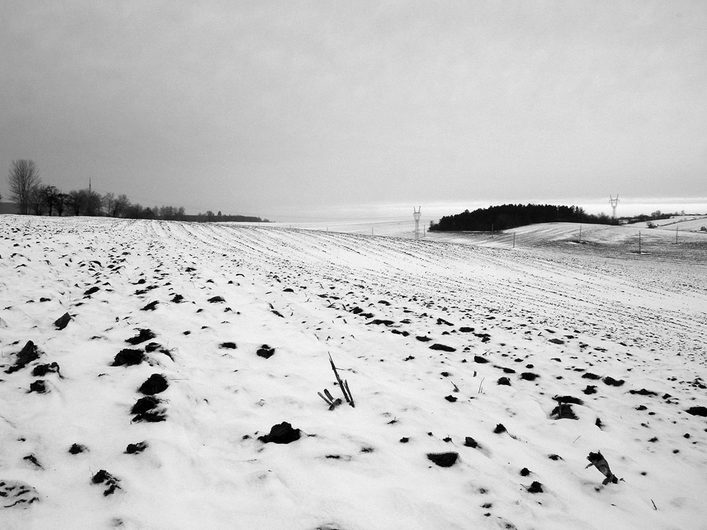 Winterlandschaft in Ungarn, Winter, Schnee - kostenloses Hintergrundbild