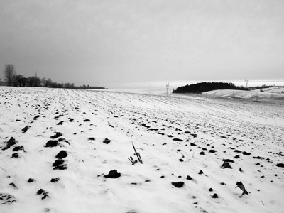 Winterlandschaft in Schwarz und Weiss