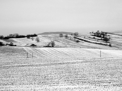 Winterlandschaft in Schwarz und Weiss