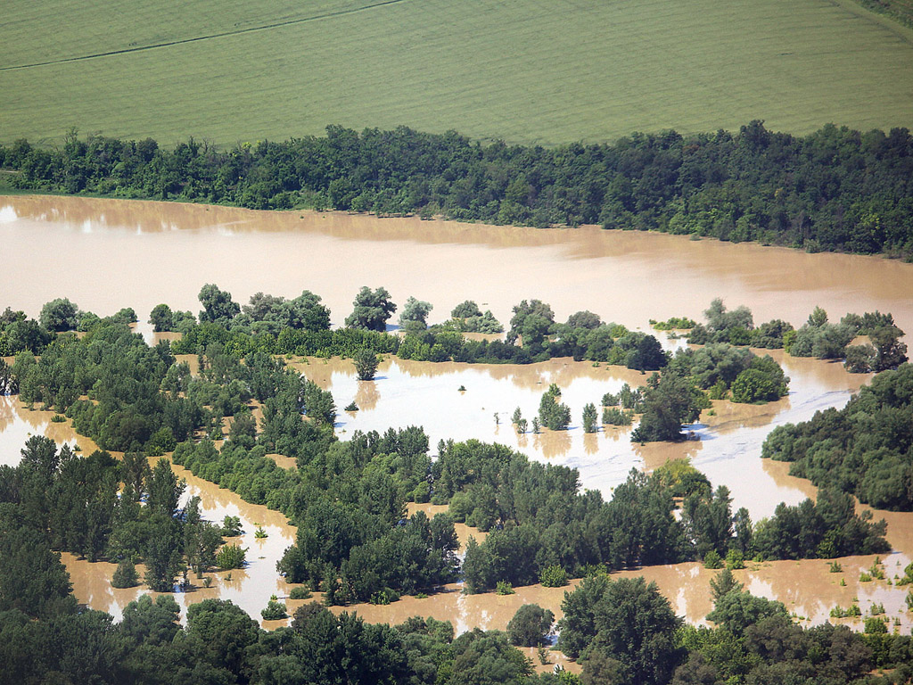 Hochwasser an der Donau