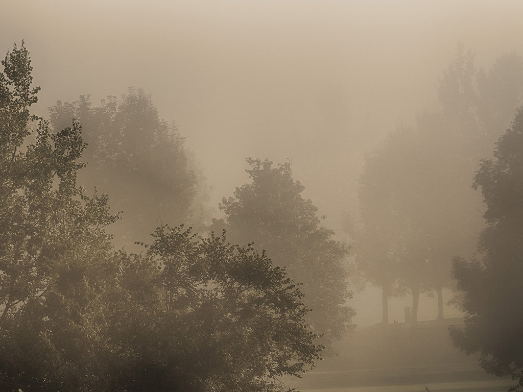 Natur - Nebel