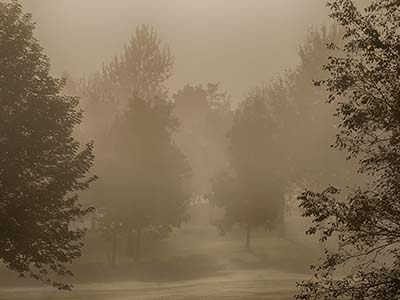 Nebel